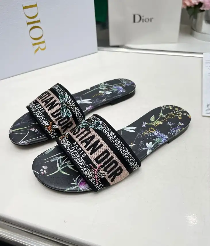 hype Christian Dior Slippers