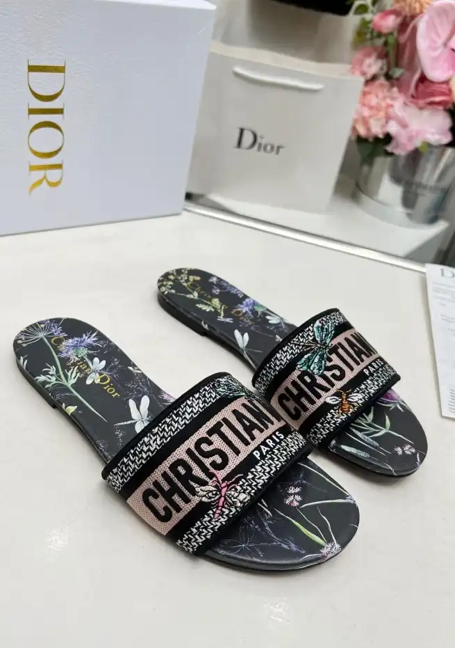 hype Christian Dior Slippers