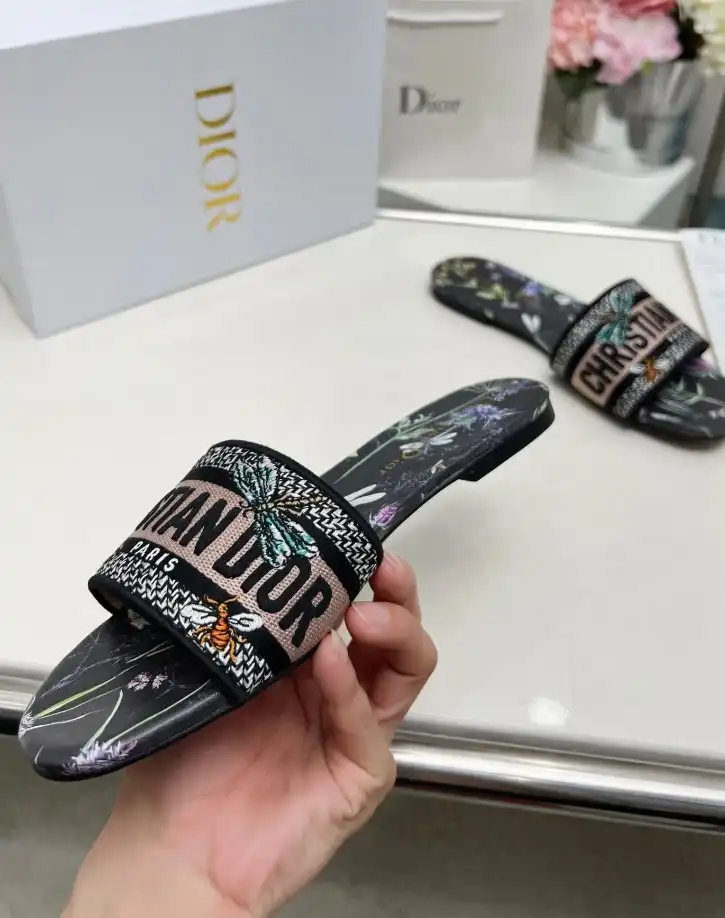 hype Christian Dior Slippers