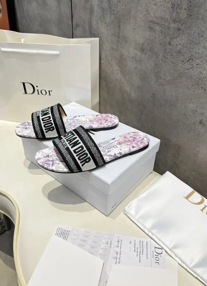 hype Christian Dior Slippers