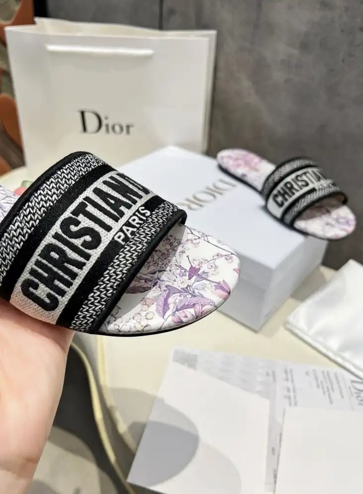 hype Christian Dior Slippers