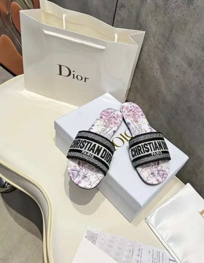 hype Christian Dior Slippers