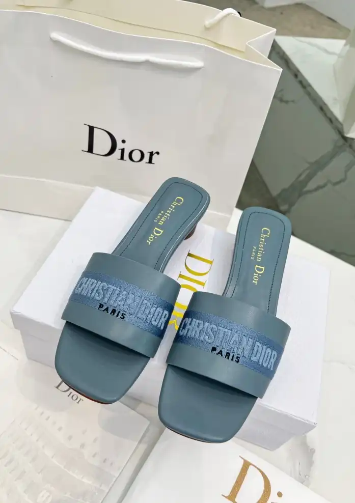 hype Christian Dior Slippers