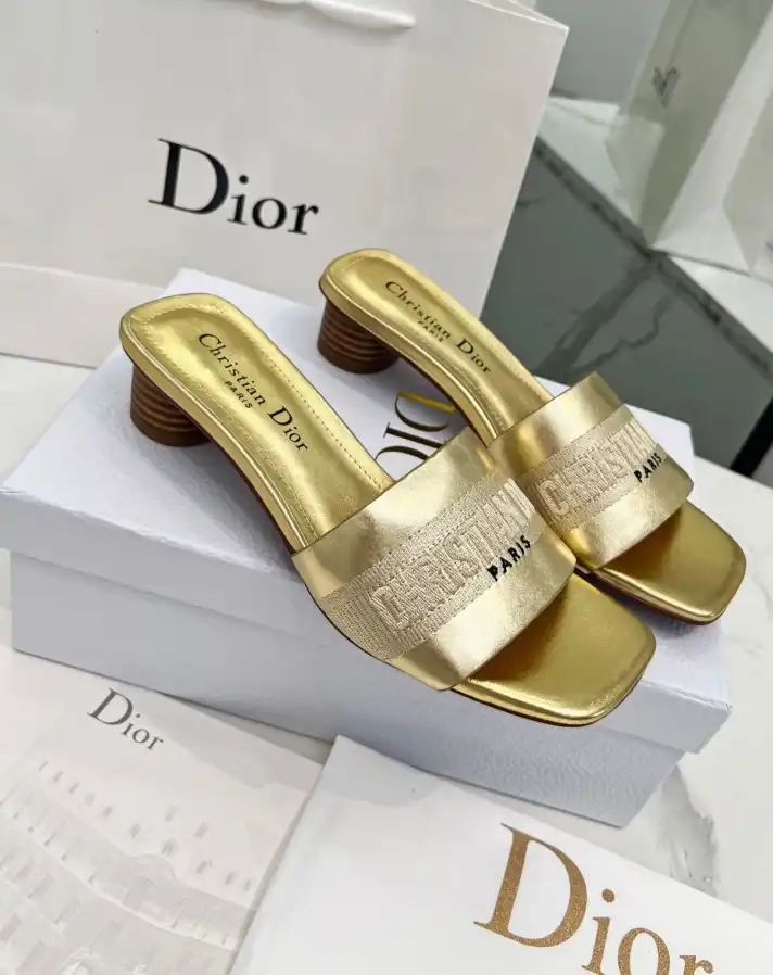 hype Christian Dior Slippers