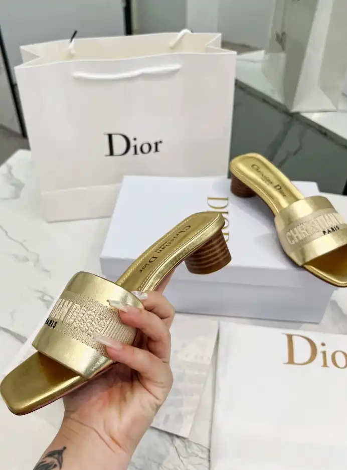 hype Christian Dior Slippers