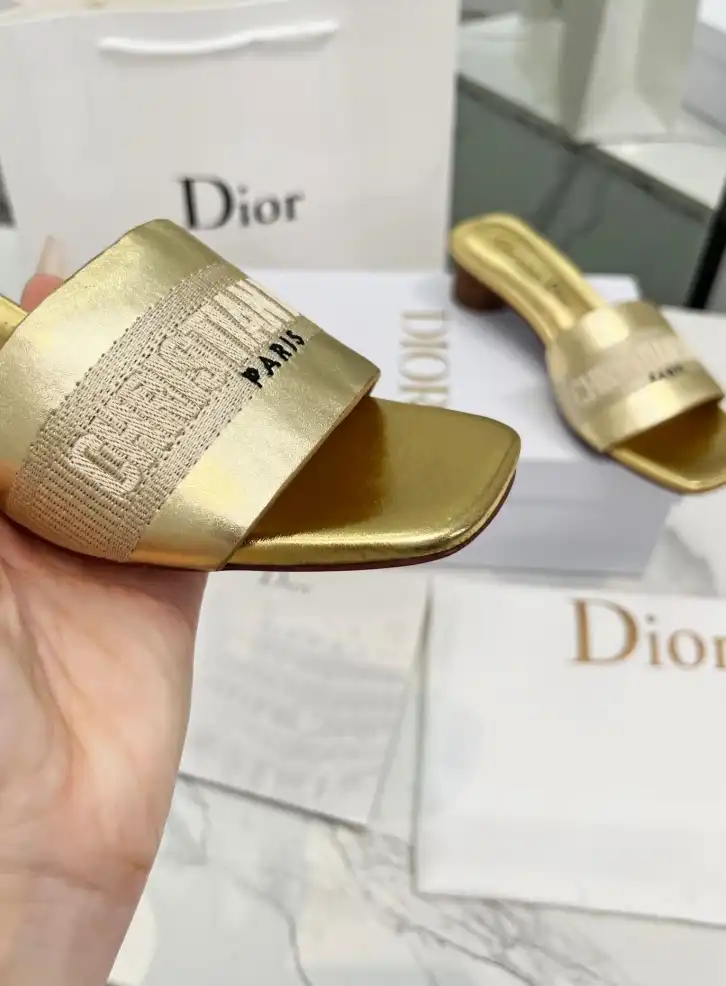 hype Christian Dior Slippers