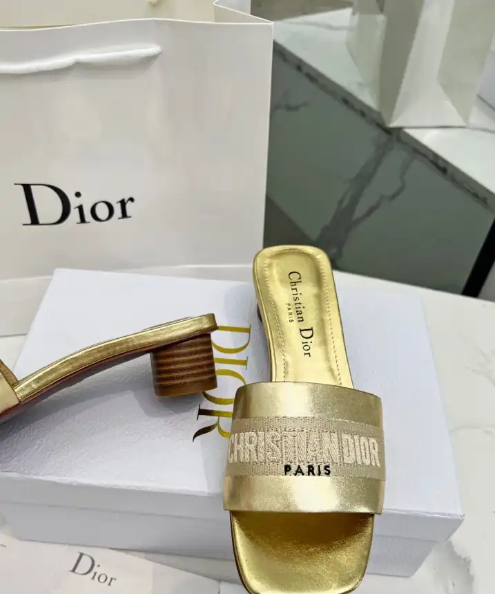 hype Christian Dior Slippers