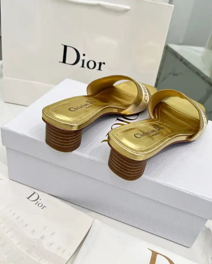 hype Christian Dior Slippers