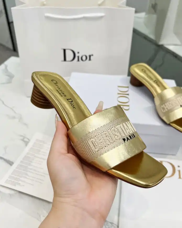 hype Christian Dior Slippers