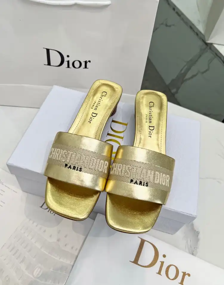 hype Christian Dior Slippers