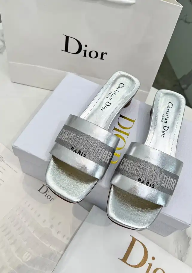 hype Christian Dior Slippers