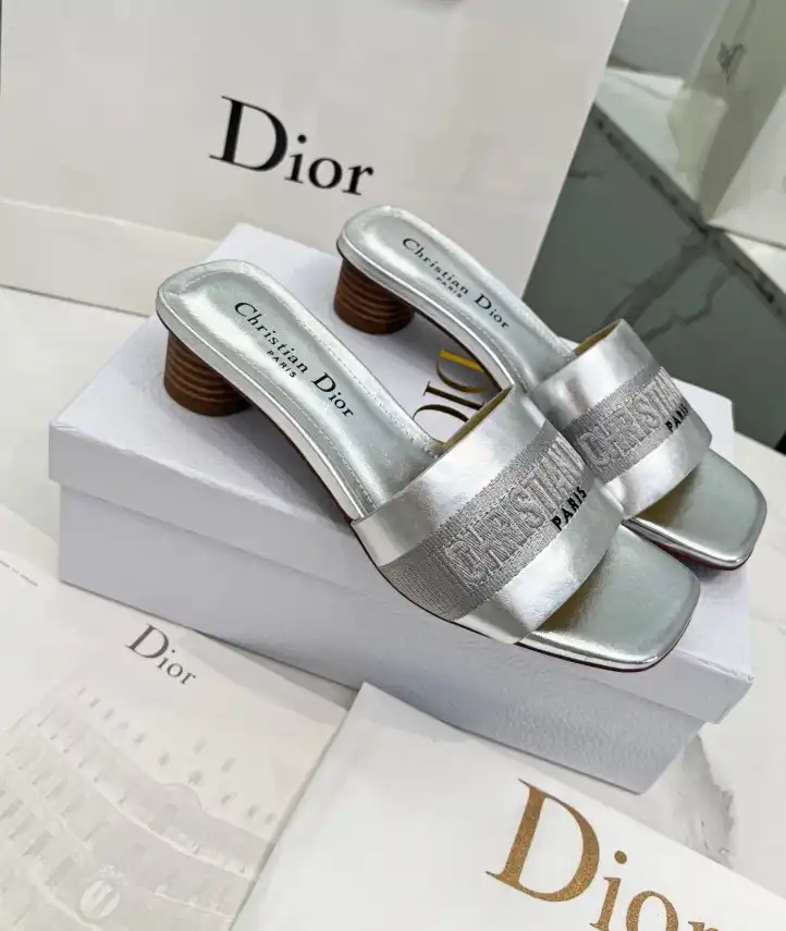 hype Christian Dior Slippers