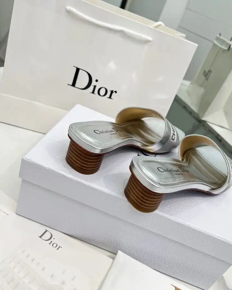 hype Christian Dior Slippers