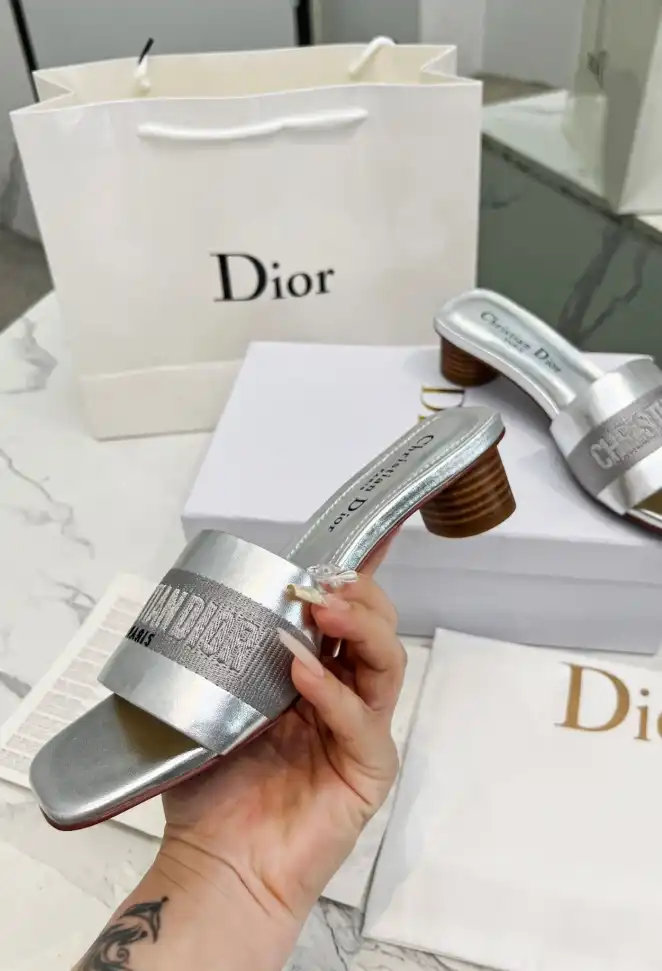 hype Christian Dior Slippers