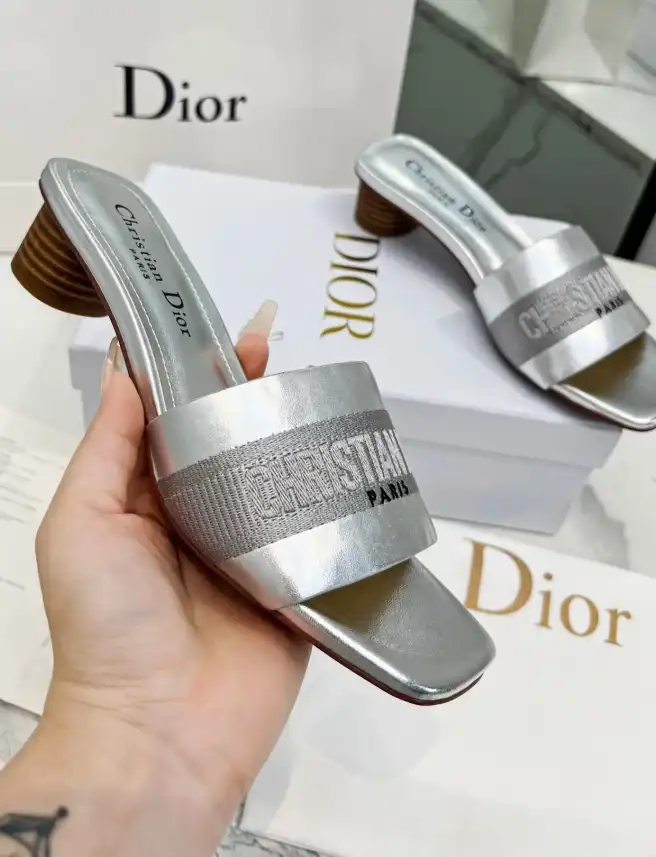 hype Christian Dior Slippers