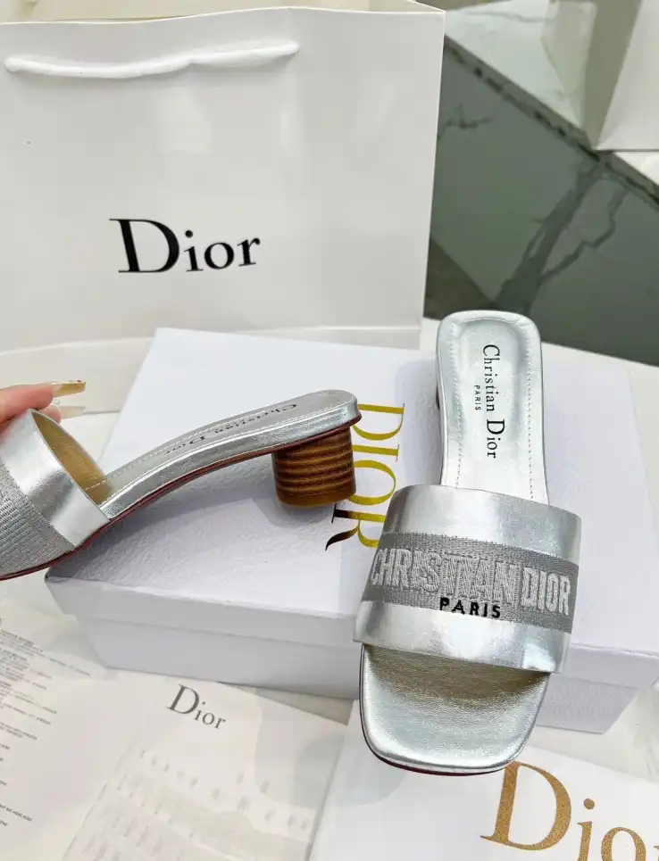 hype Christian Dior Slippers