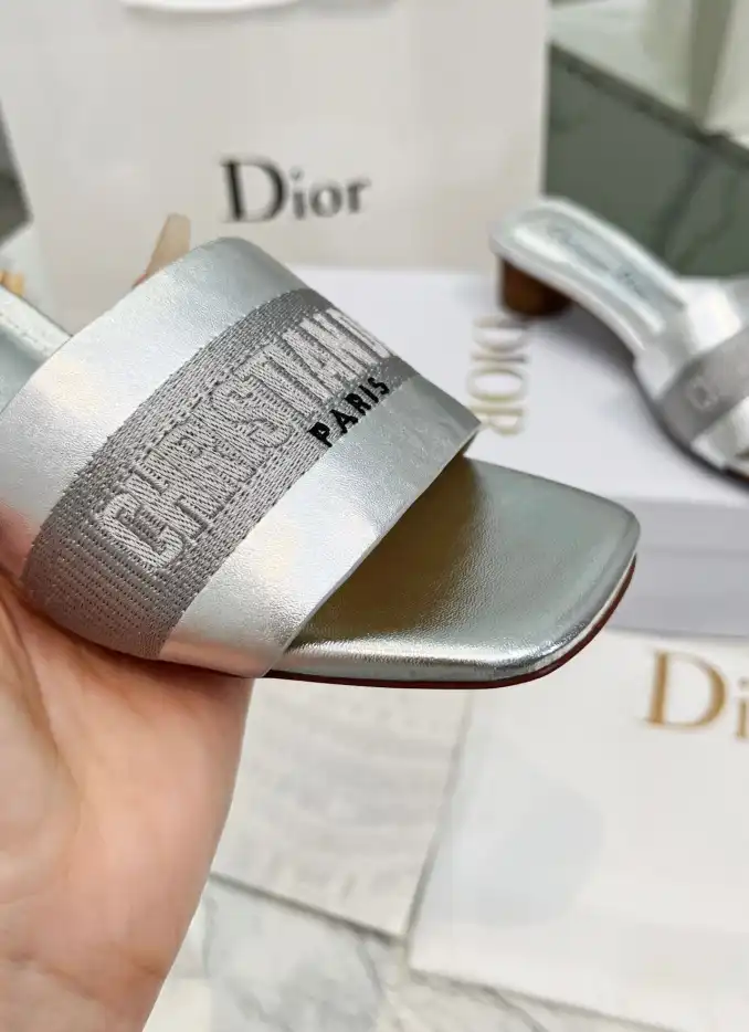 hype Christian Dior Slippers