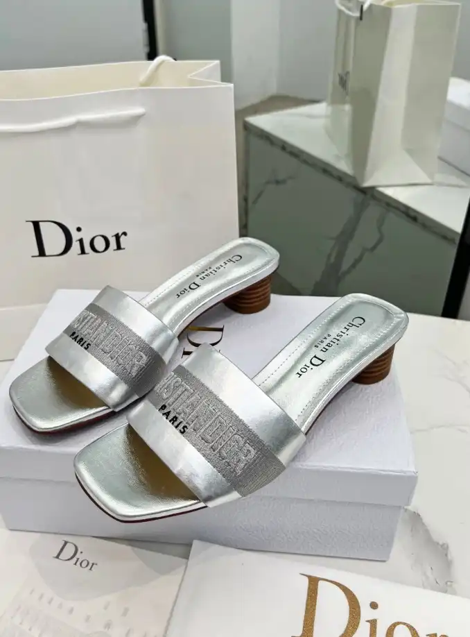 hype Christian Dior Slippers