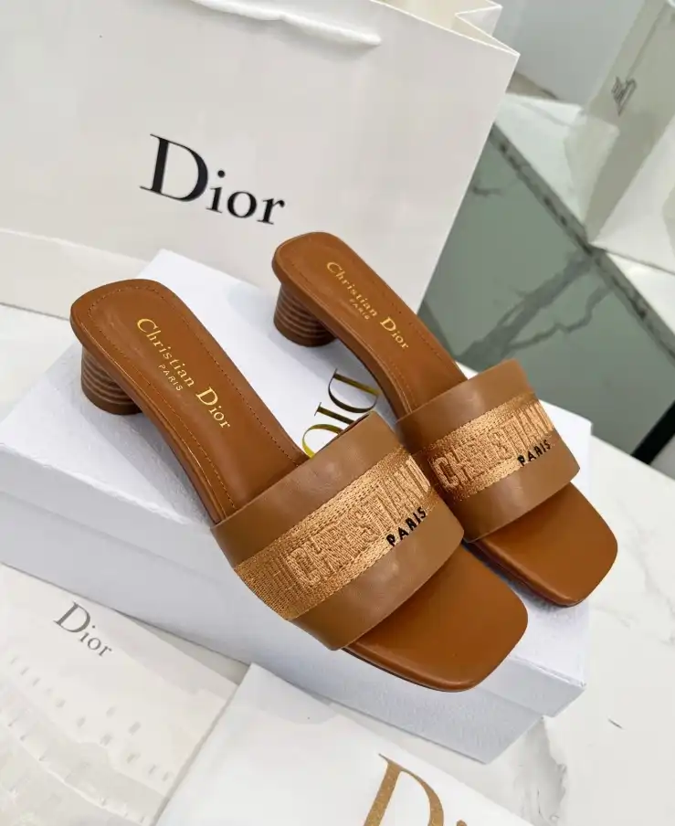 hype Christian Dior Slippers