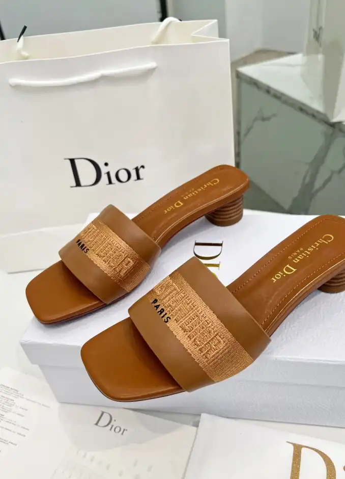 hype Christian Dior Slippers