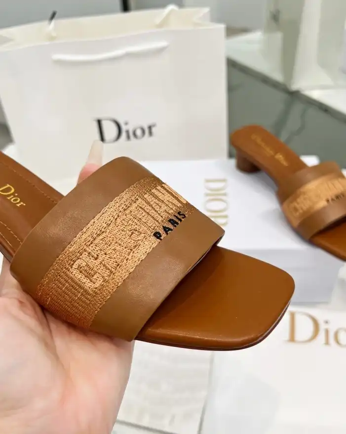 hype Christian Dior Slippers