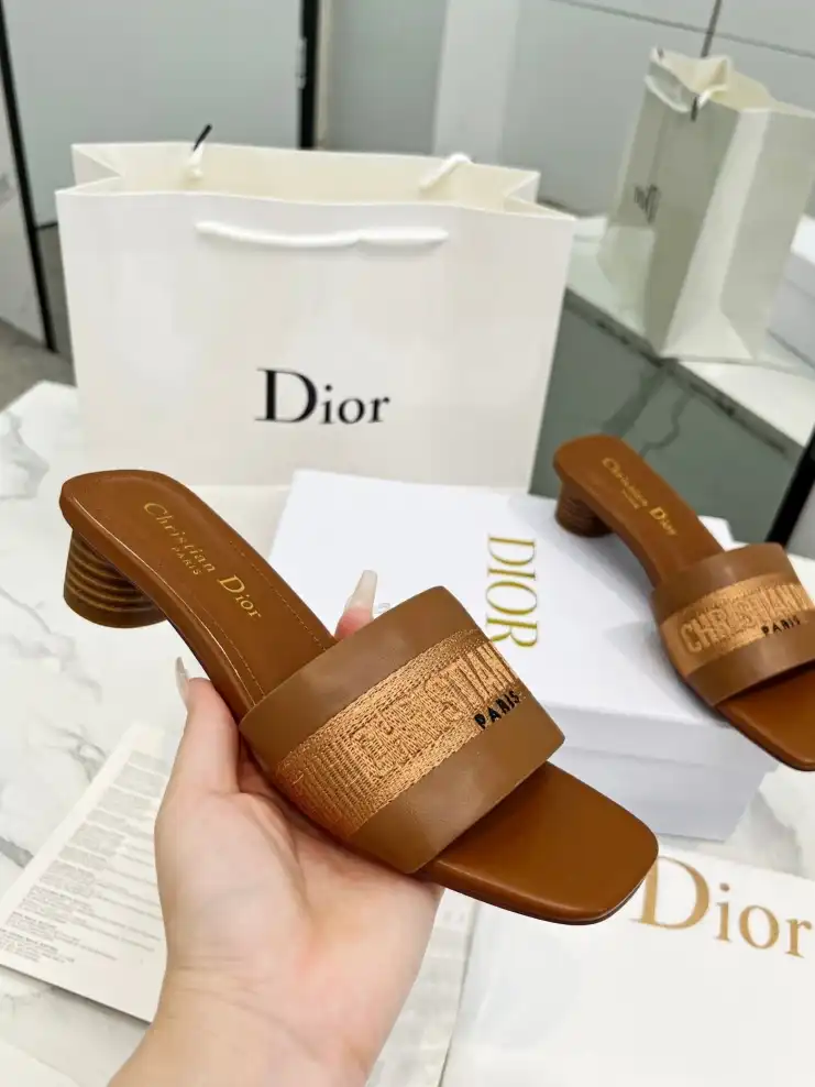 hype Christian Dior Slippers