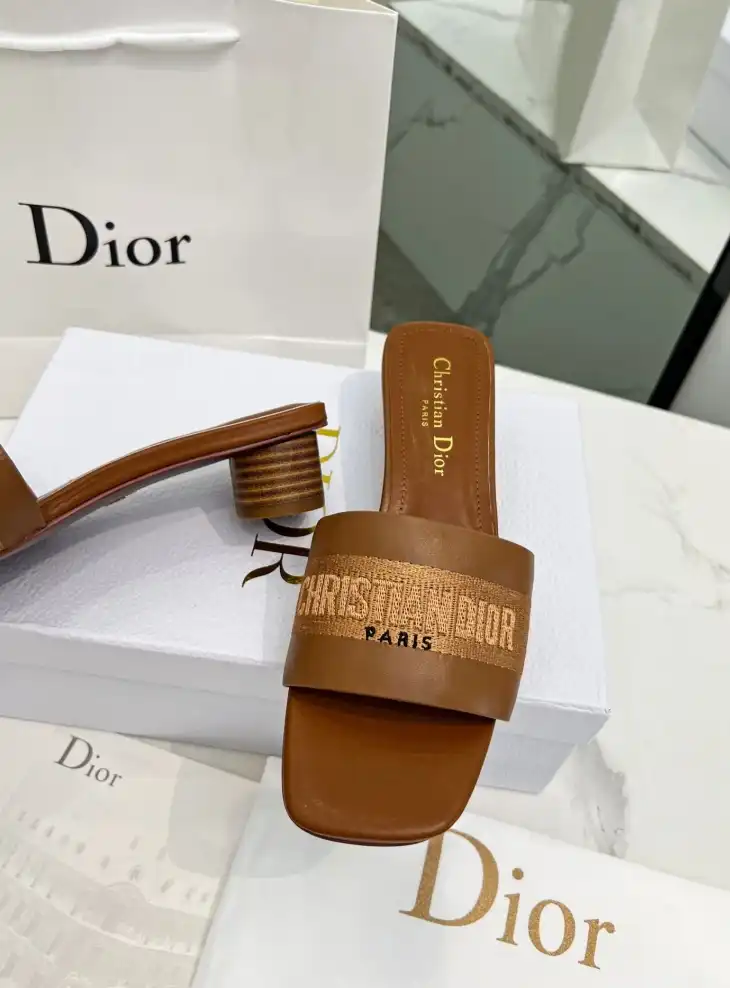 hype Christian Dior Slippers