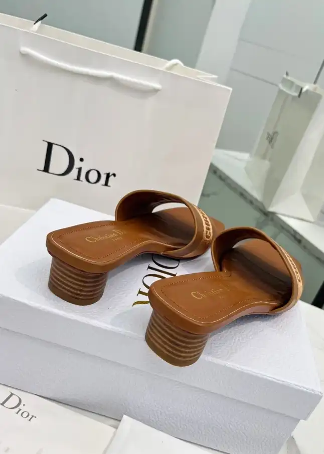 hype Christian Dior Slippers