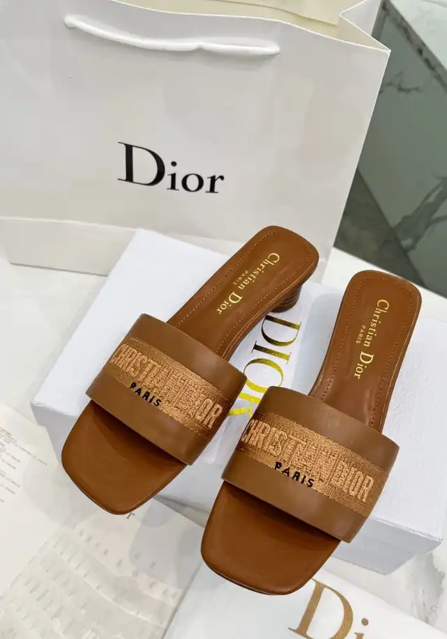 hype Christian Dior Slippers