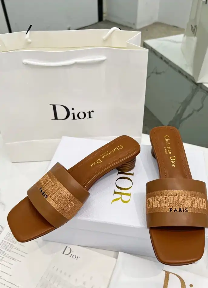 hype Christian Dior Slippers