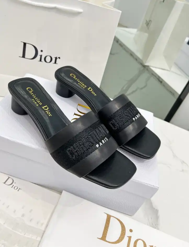 hype Christian Dior Slippers