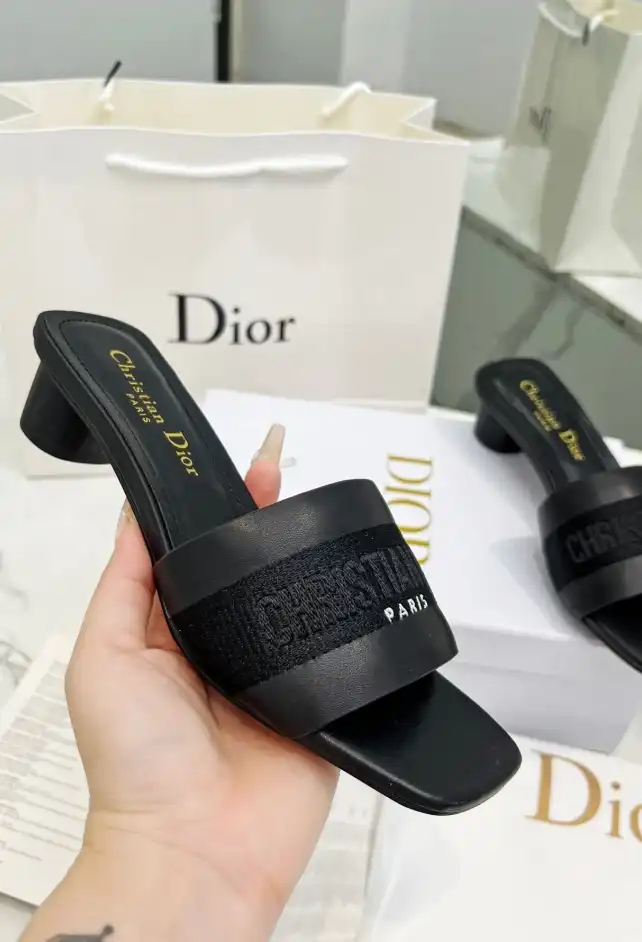 hype Christian Dior Slippers