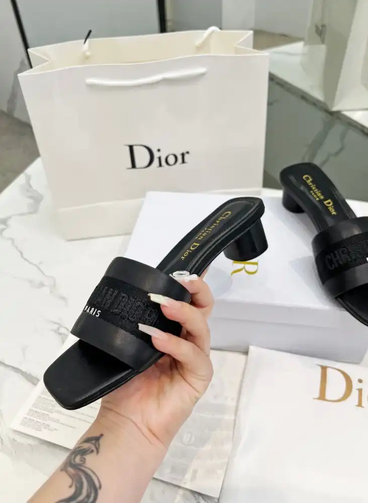 hype Christian Dior Slippers