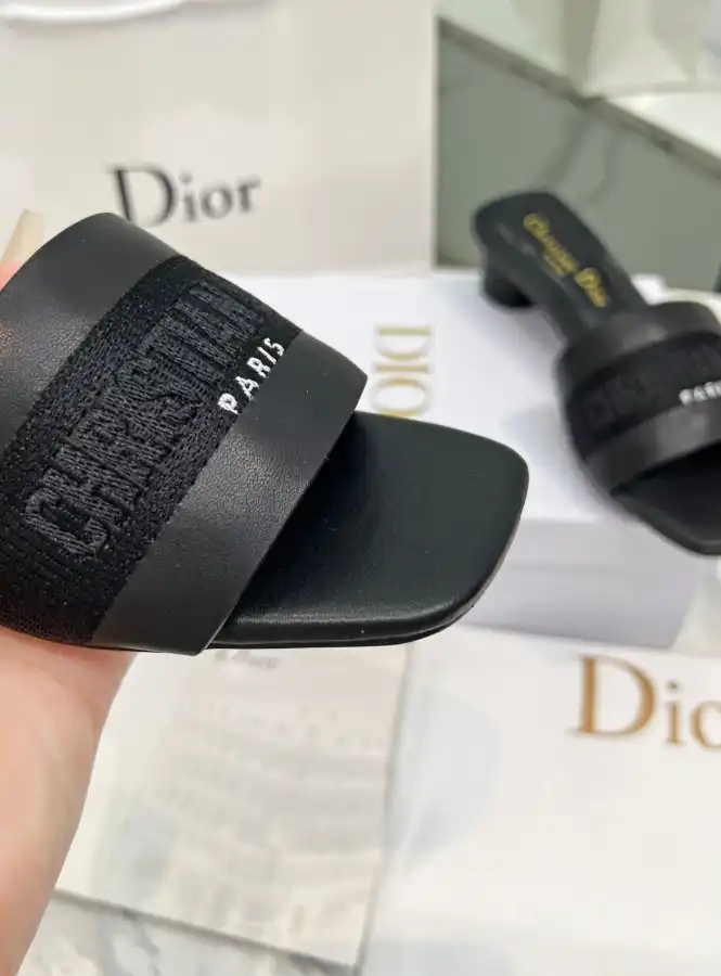 hype Christian Dior Slippers