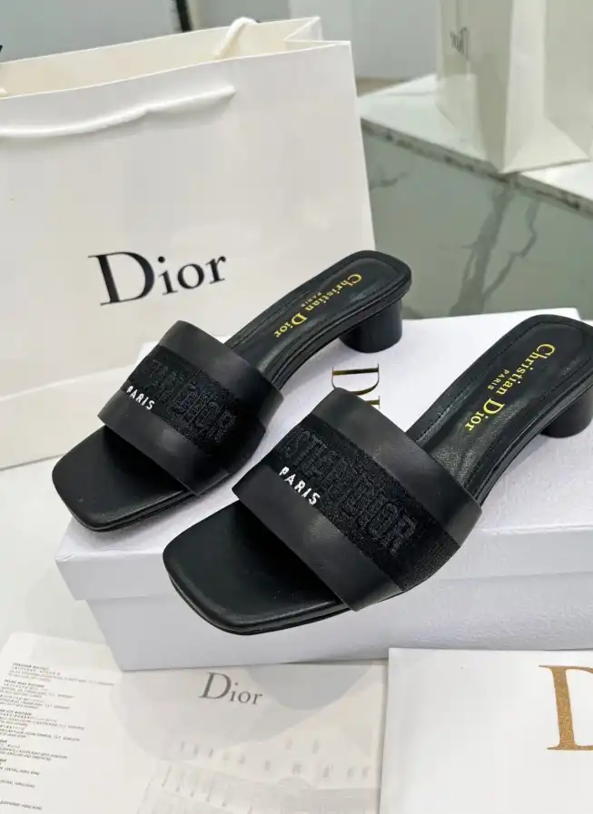 hype Christian Dior Slippers