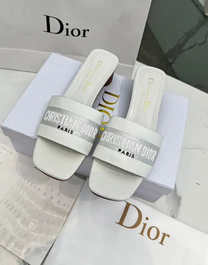 hype Christian Dior Slippers