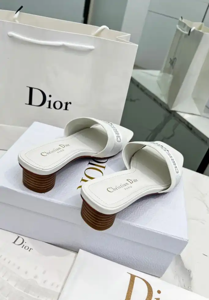 hype Christian Dior Slippers