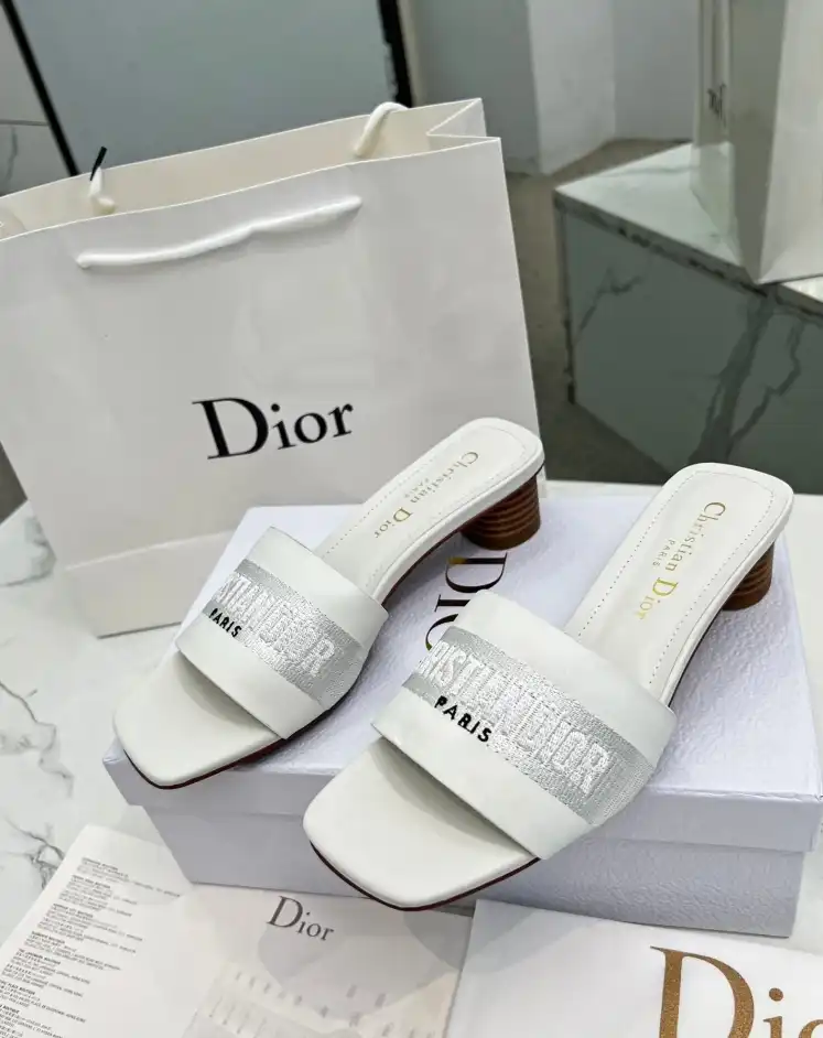 hype Christian Dior Slippers