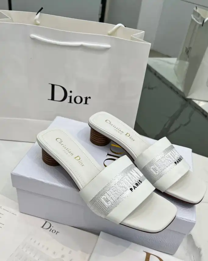 hype Christian Dior Slippers