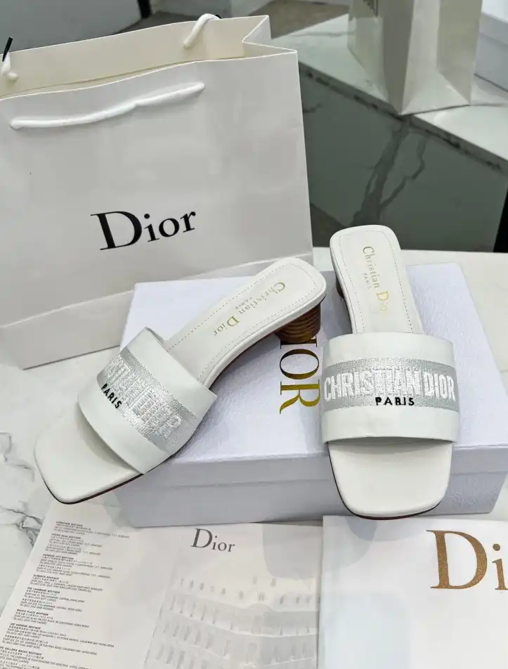 hype Christian Dior Slippers