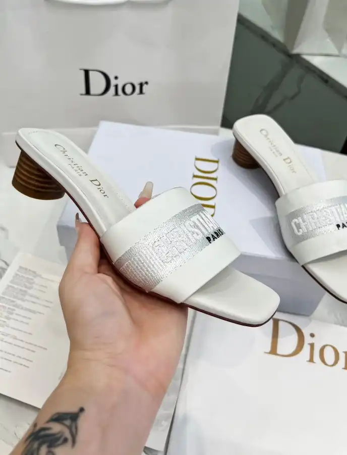 hype Christian Dior Slippers