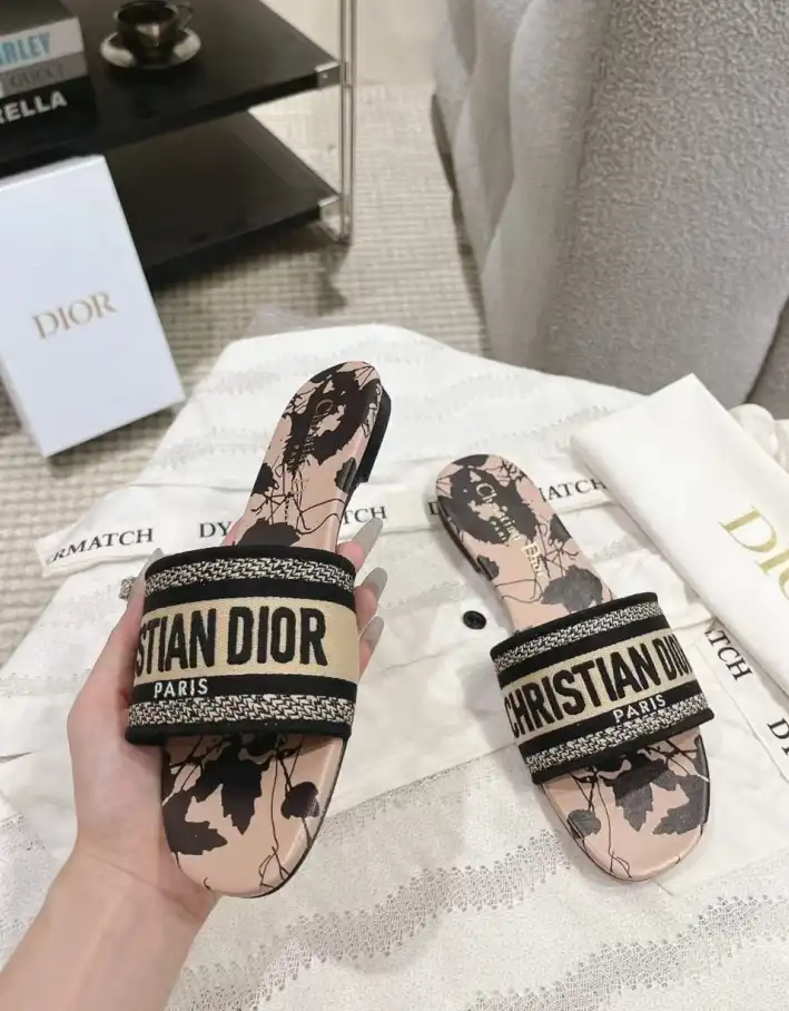 hype Christian Dior Slippers