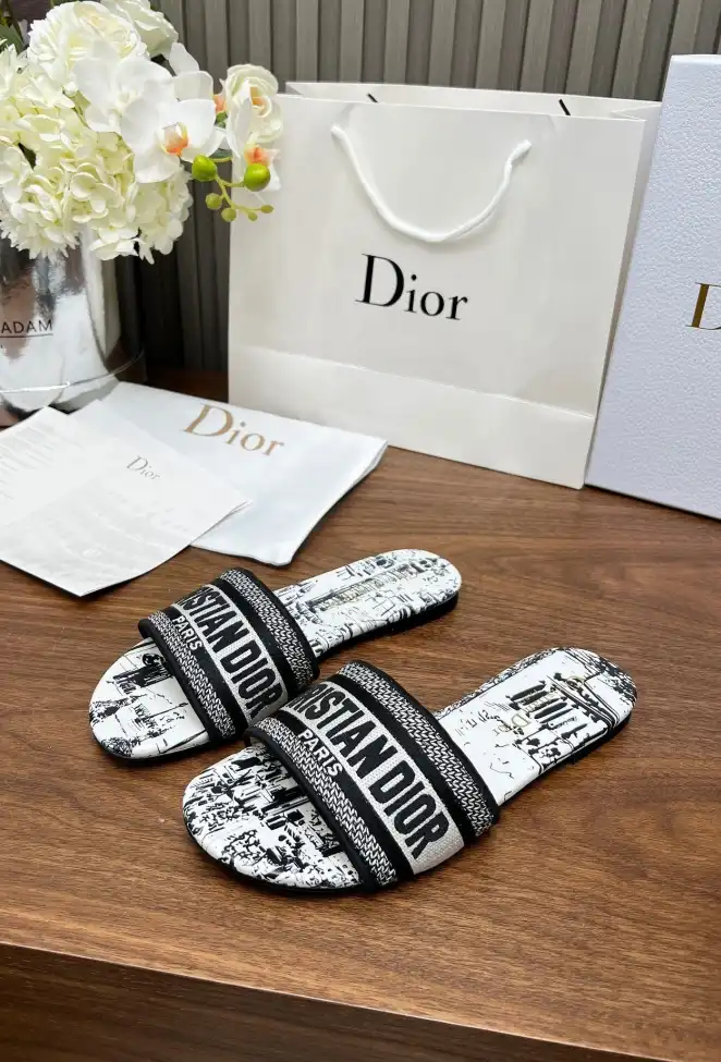 hype Christian Dior Slippers