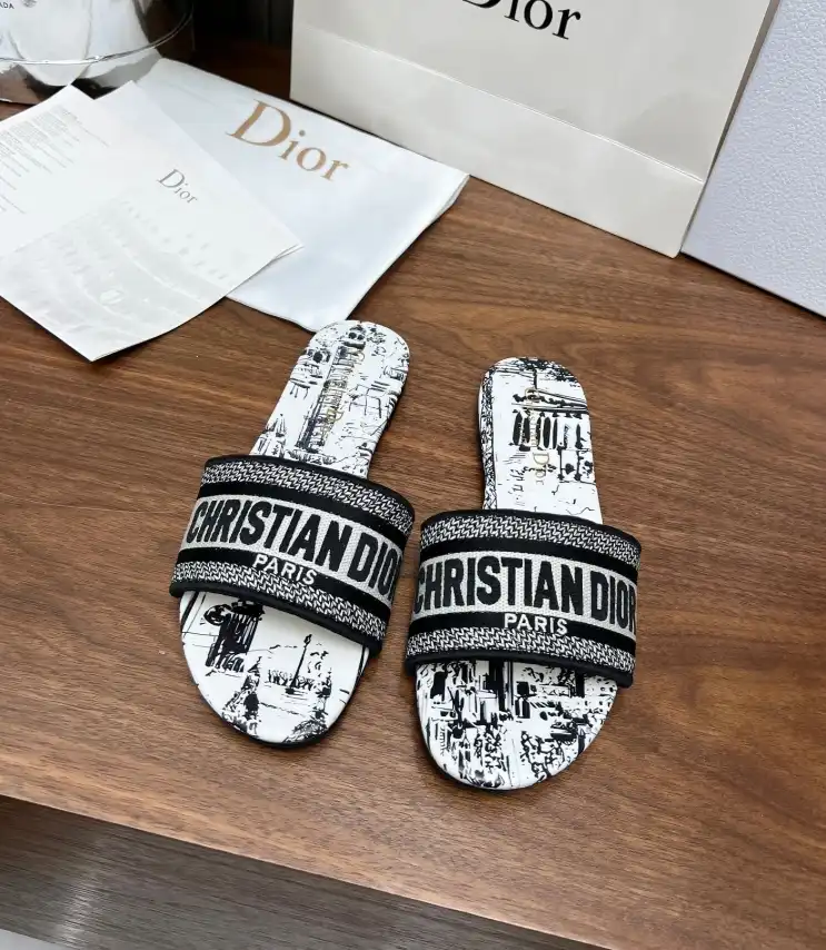 hype Christian Dior Slippers