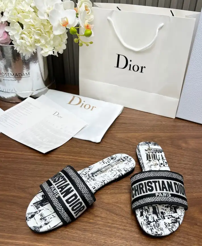 hype Christian Dior Slippers