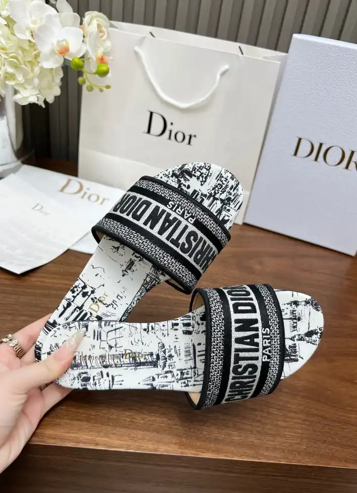 hype Christian Dior Slippers