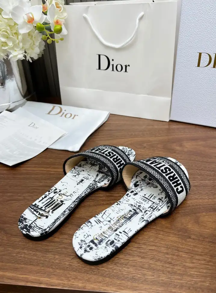 hype Christian Dior Slippers