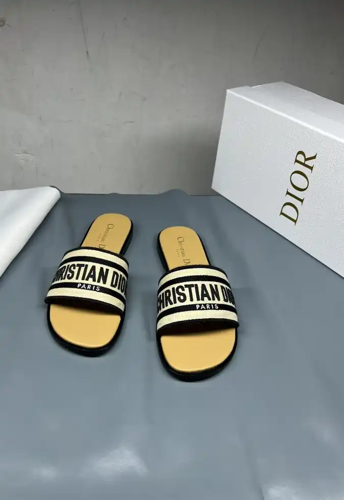 hype Christian Dior Slippers