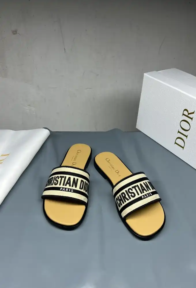 hype Christian Dior Slippers