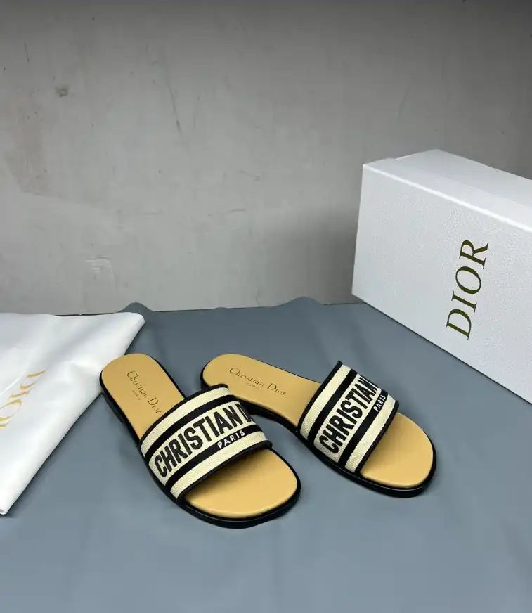 hype Christian Dior Slippers